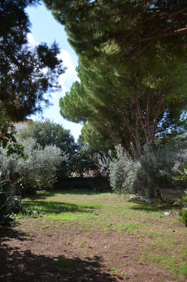 Villa Alchea Locazione Turistica 모디카 외부 사진